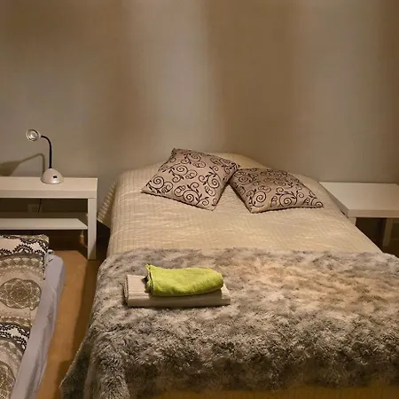 Viihtyisae Kaksio Ydinkeskustassa Maantasossa Apartment *