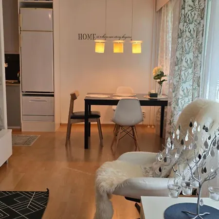 Viihtyisae Kaksio Ydinkeskustassa Maantasossa Apartment Oulainen