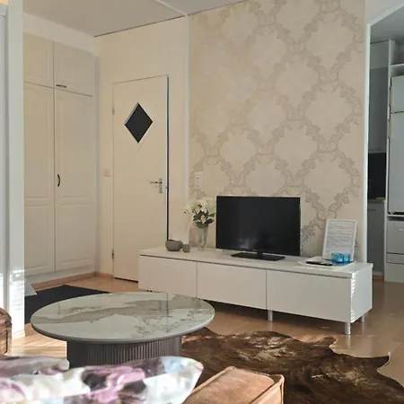 Viihtyisae Kaksio Ydinkeskustassa Maantasossa Appartement *